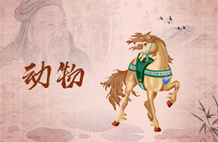 梦见飞翔的小马